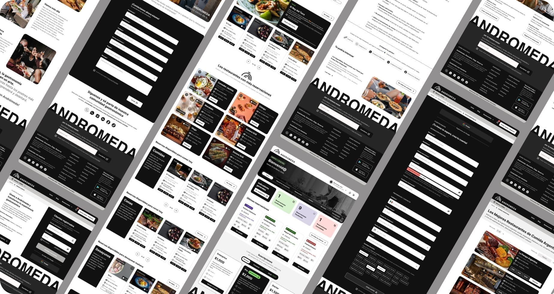 Andromeda — digital product interface in motion.