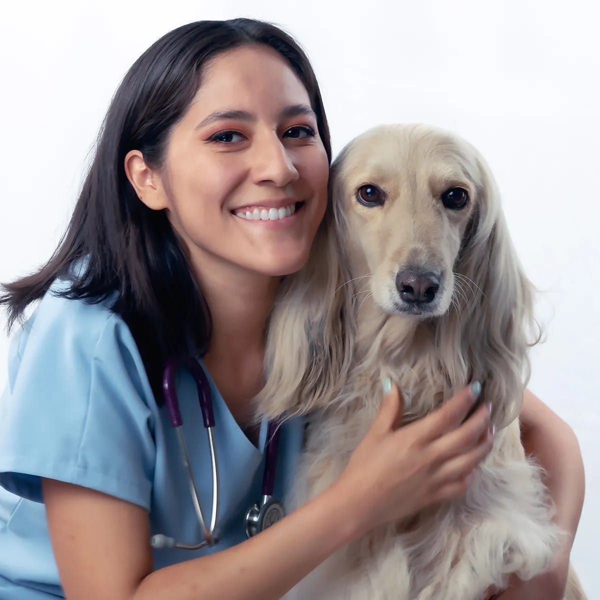Veterinarian Cynthia with a long-haired dog in studio.