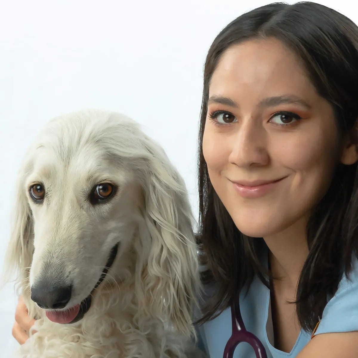 Veterinarian Cynthia with a long-haired white dog.