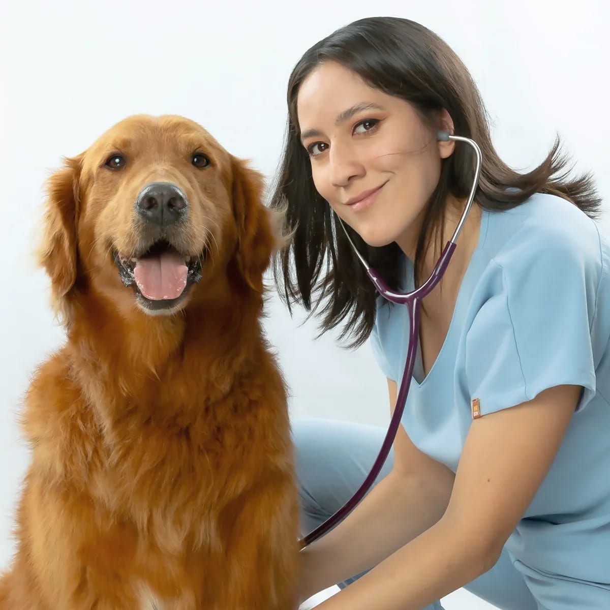 Veterinarian Cynthia posing beside a golden retriever with a stethoscope.