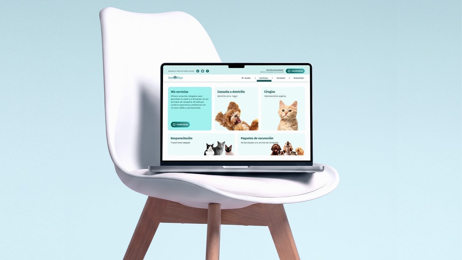Vetmedicyn services page on a laptop mockup.