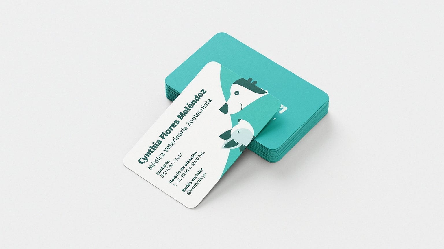 Stack of Vetmedicyn business cards for Cynthia Flores Meléndez.