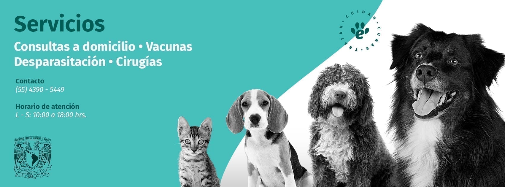 Vetmedicyn services banner with cat and dog photography.