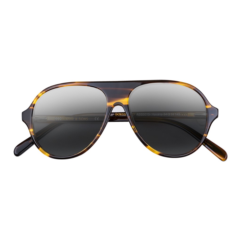 Front view tortoiseshell keyhole frames with horizontal silver pins; demo lenses. Arthur & Sons Mexico collection — photograph 75 of 119.