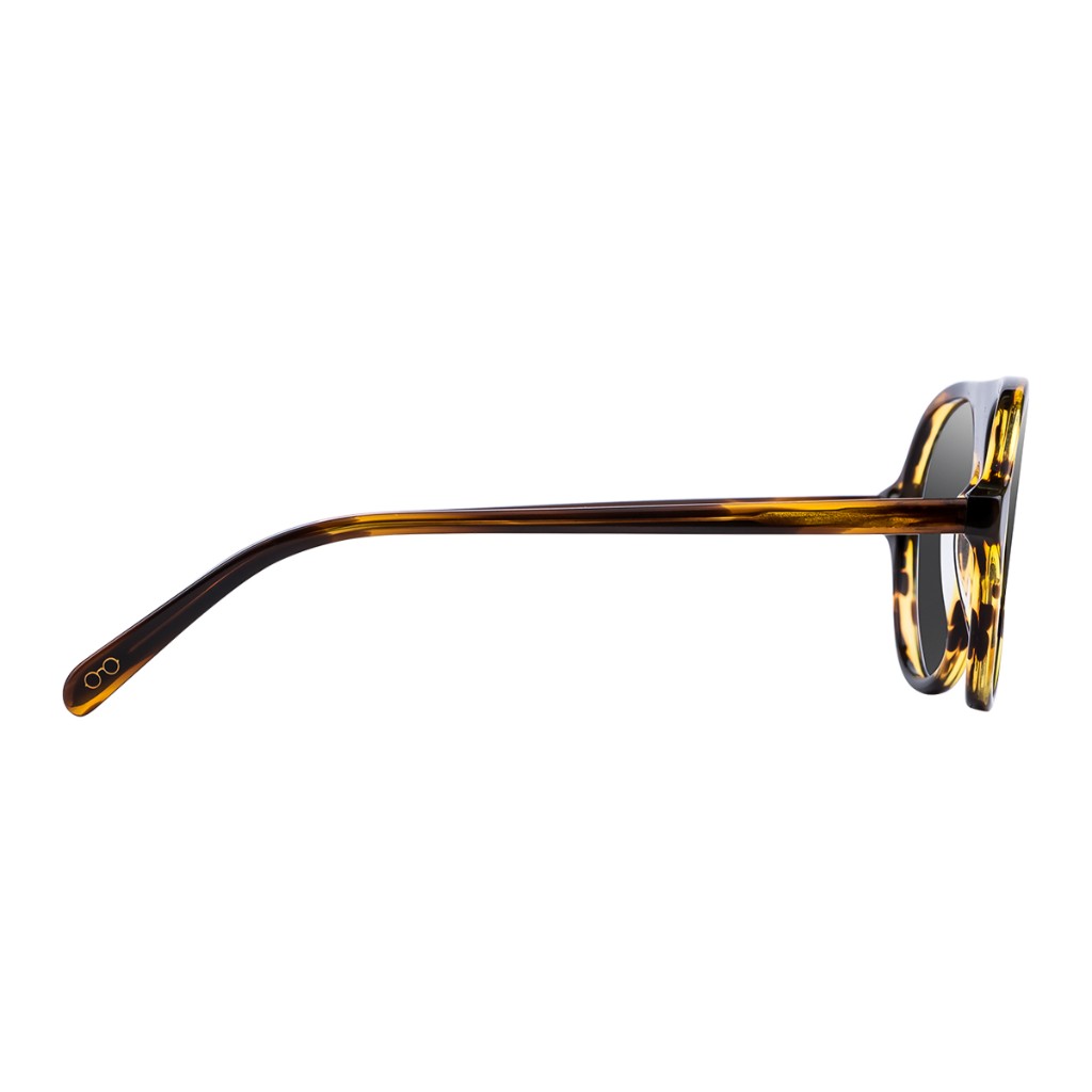 Profile of tortoiseshell sunglasses with smoke lenses and gold logo temple tip. Arthur & Sons Mexico collection — photograph 77 of 119.