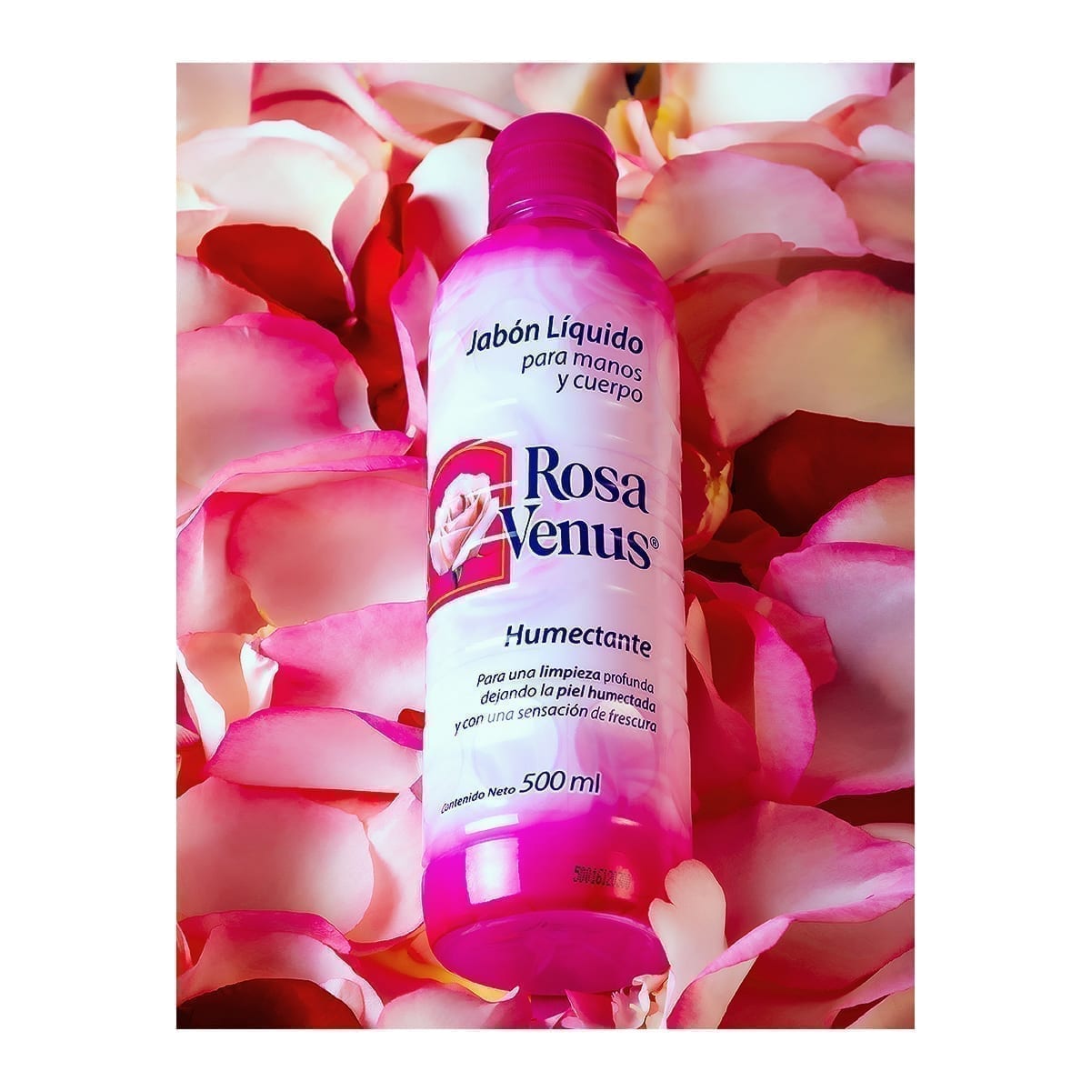 500 ml Rosa Venus liquid hand and body soap among rose petals; vivid pink liquid. “100 Years of History” editorial project, Fábrica de Jabón La Corona — piece 17 of 38.