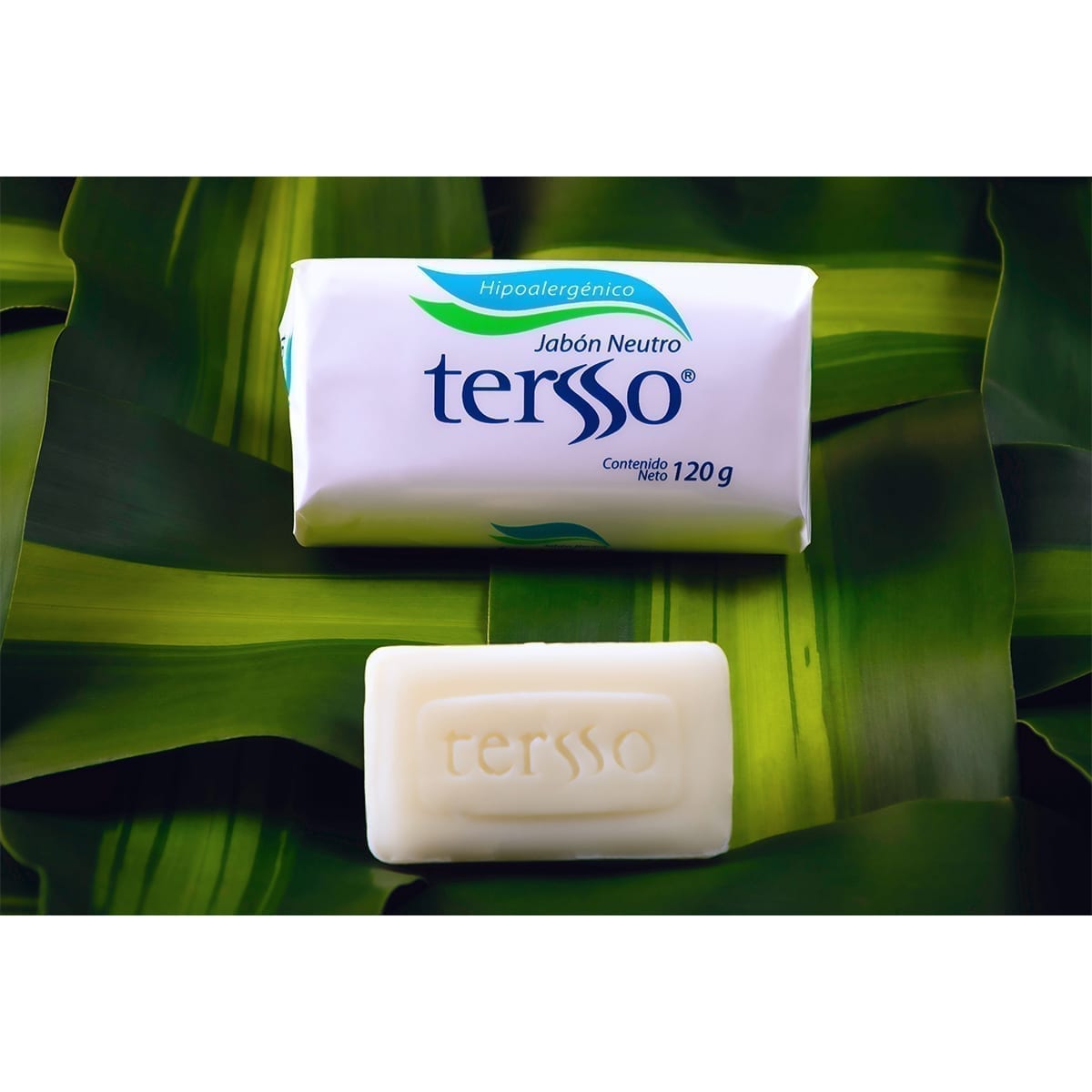 Tersso hypoallergenic neutral soap: wrapped bar and naked embossed bar on large green leaves. “100 Years of History” editorial project, Fábrica de Jabón La Corona — piece 8 of 38.